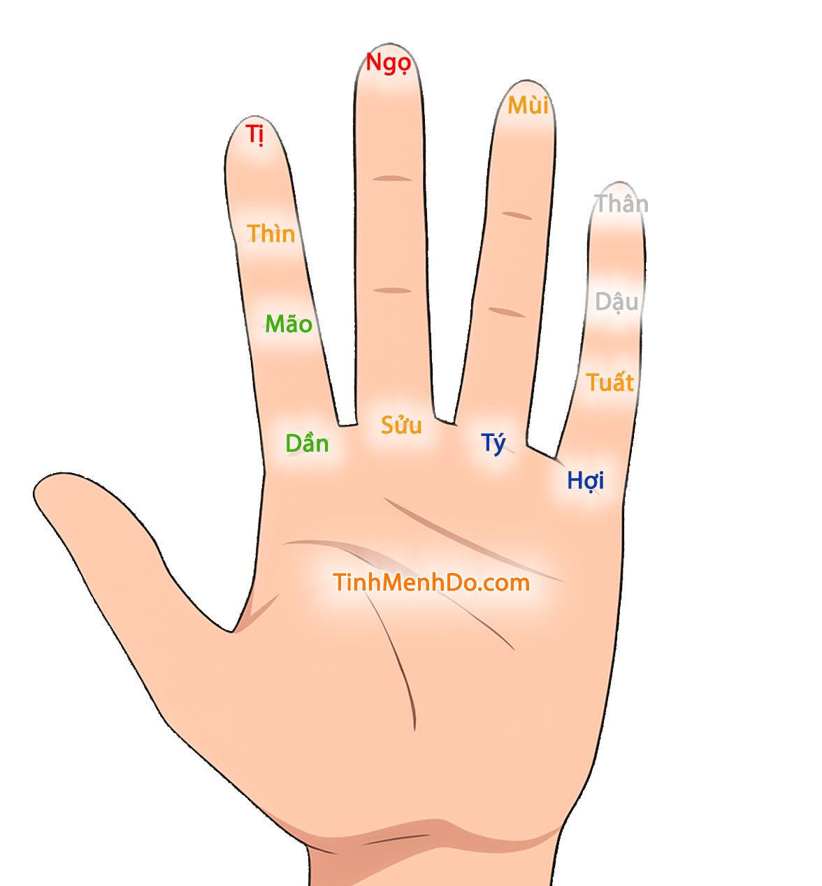 Quy tắc bàn tay trái